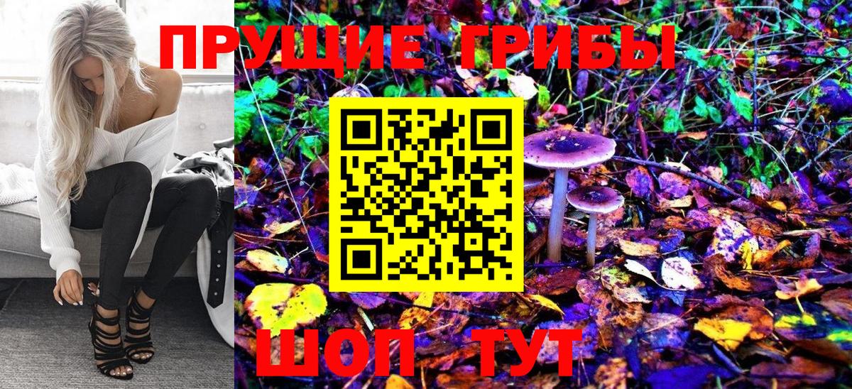 Псилоцибиновые грибы Psilocybine cubensis  Галлюциногенные грибы Psilocybe  где найти наркотики  Вход с VPN  Выборг 